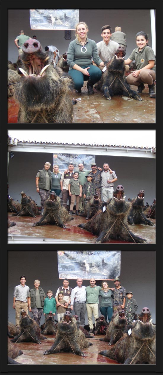 Cinabrio2017Mochuelo1