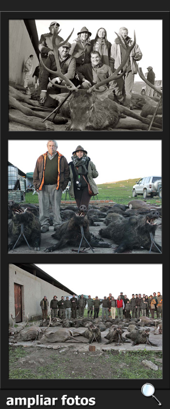 Bosques y Caza Monteria 2017 Quintos de Mora  PQ