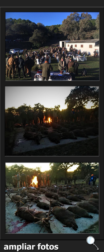 Bosques y Caza Monteria 2017 Quintos de Mora  PQ