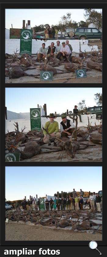 CinegeticalosBarrancosMonterias2017ElBerrocalpq