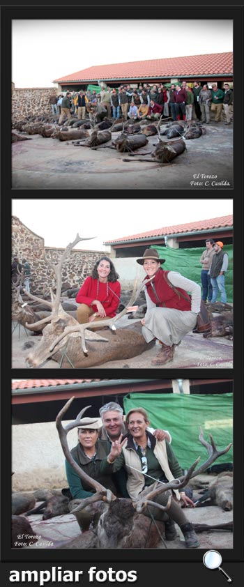 EncicazaMonterias2017ElTorozoPQ