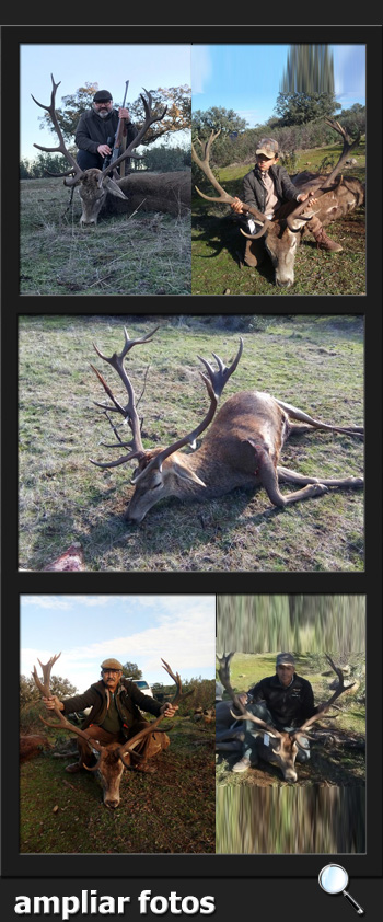 Bosques y Caza Monteria 2017 Quintos de Mora  PQ