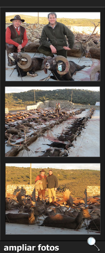 Bosques y Caza Monteria 2017 Quintos de Mora  PQ