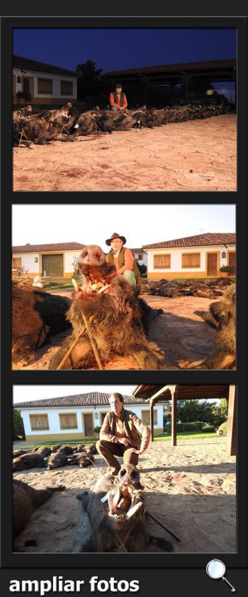 Bosques y Caza Monteria 2017 Quintos de Mora  PQ