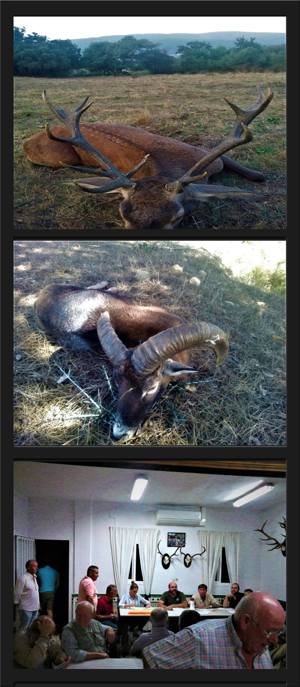 Bosques y Caza Monteria 2017 Quintos de Mora PQ