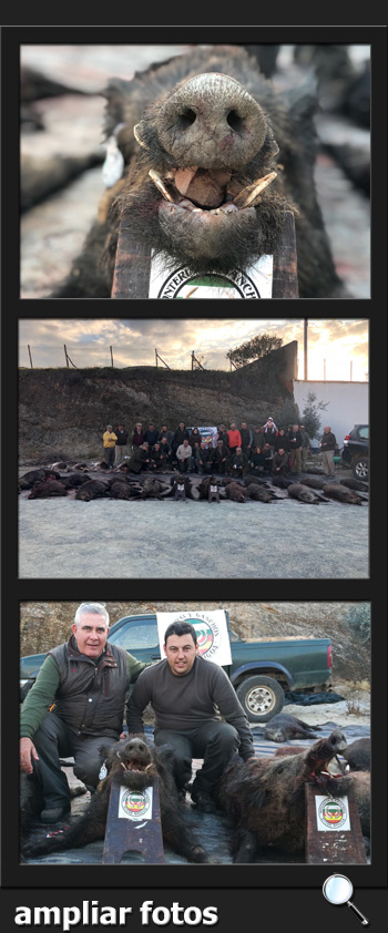 Bosques y Caza Monteria 2017 Quintos de Mora PQ