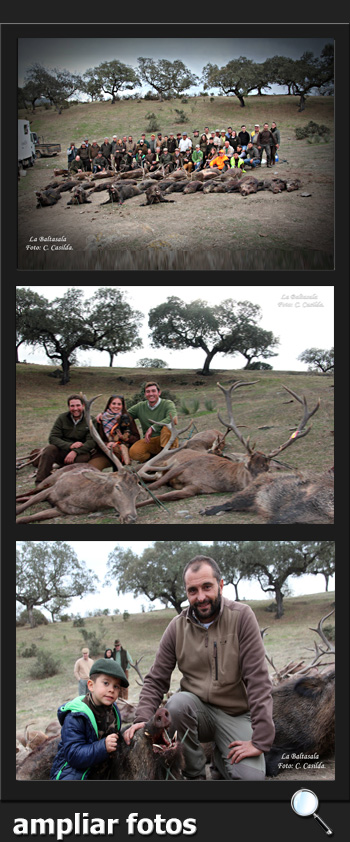 MonterosDeEncinaSola2017BaltasalaPQ