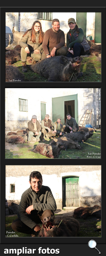 MonterosDeEncinaSola2018LasParedesPQ