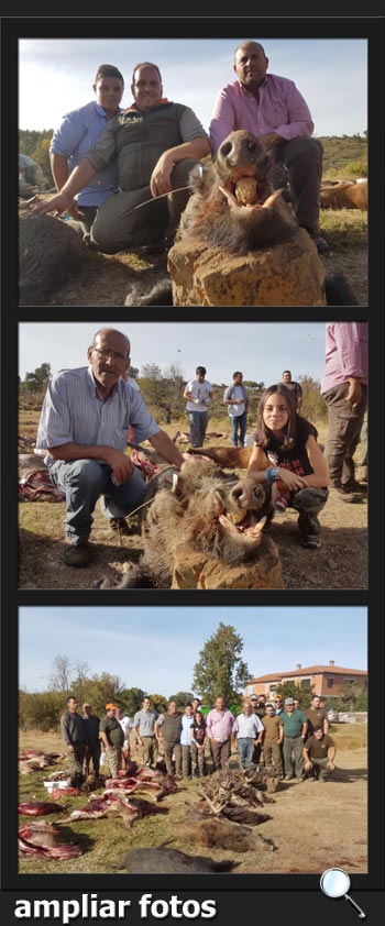 MonterosdeLey2017Agallas1PQ