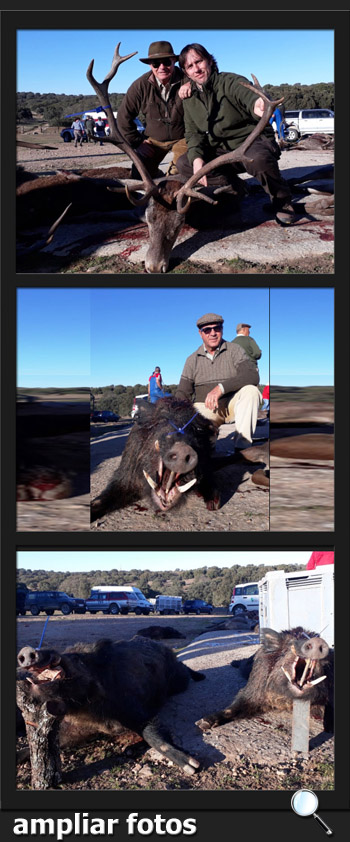 Puebla y Estellez 2017 El Asiento PQ