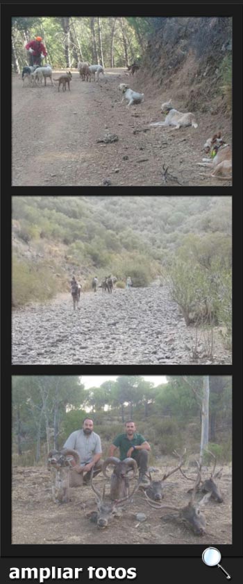 SafarisyMonterias2017LaSendaPQ