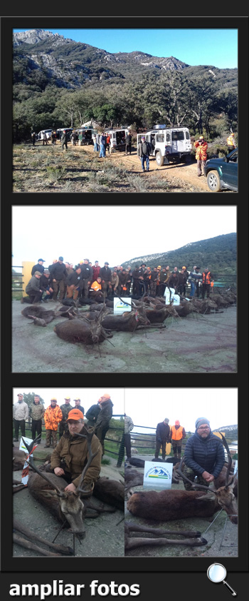 Bosques y Caza Monteria 2017 Quintos de Mora  PQ