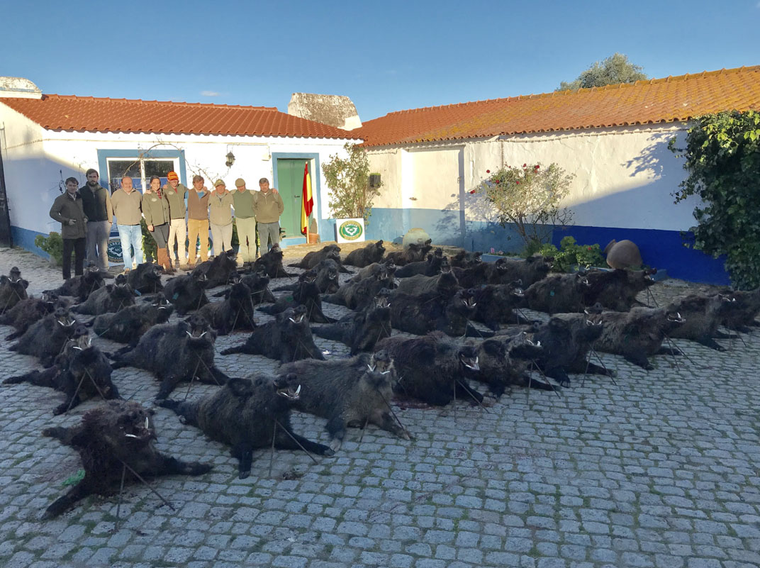 CabezasFebPortugal
