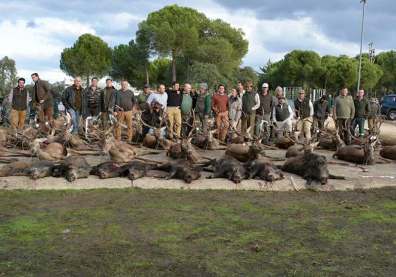 Éxito en la subasta de monterías de la Junta de Andalucía