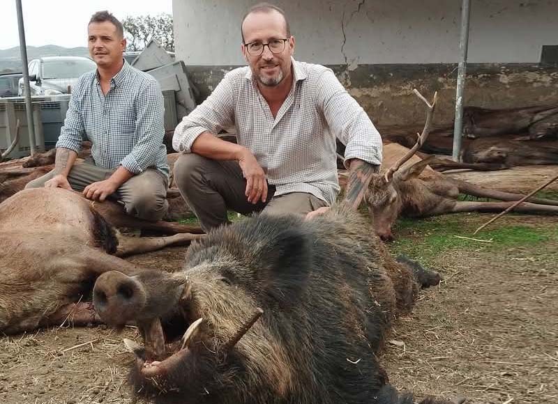 Chaqueta Caza Blaser