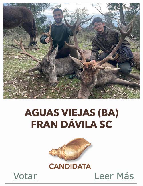 Candidatas 2025 2026 AB Campete