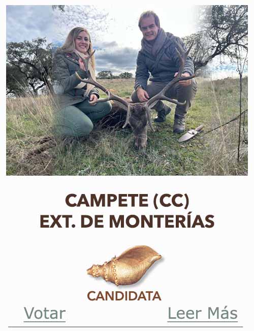 Candidatas 2025 2026 AB Campete