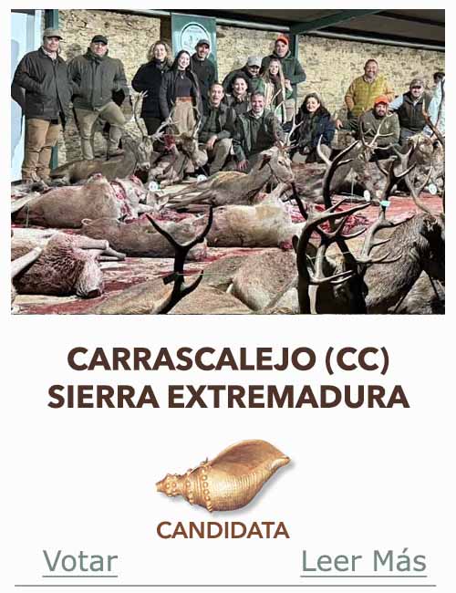 Candidatas 2025 2026 AB Campete