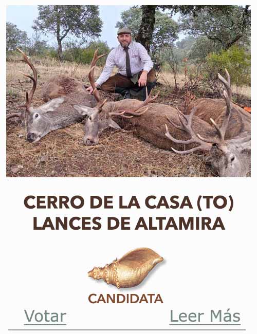 Candidatas 2025 2026 AB Campete