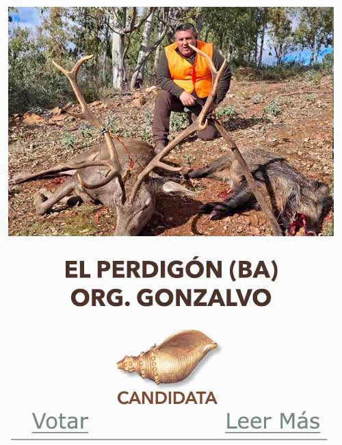 Candidatas 2025 2026 AB Campete