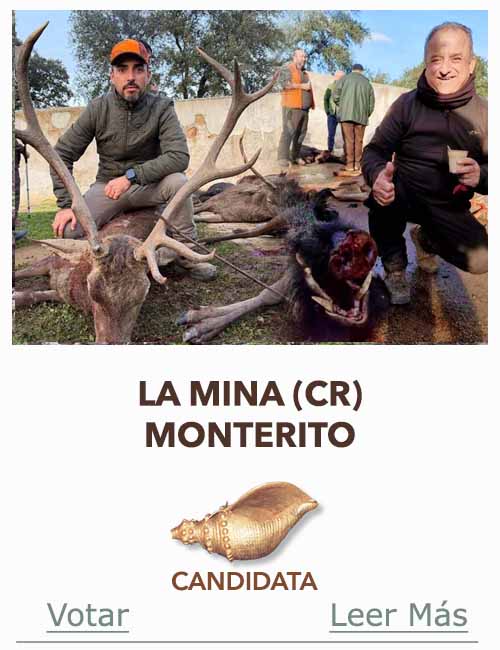 Candidatas 2025 2026 AB Campete