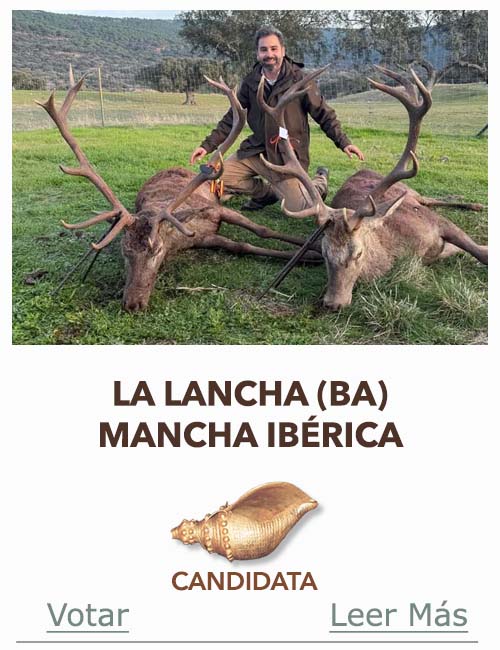 Candidatas 2025 2026 AB Campete