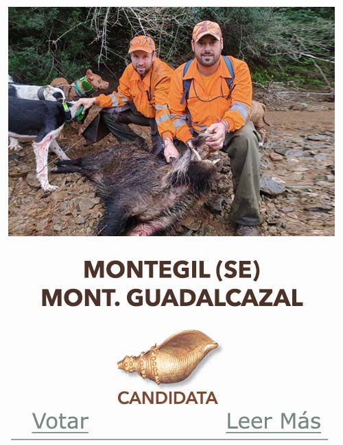 Candidatas 2025 2026 AB MONTEGIL