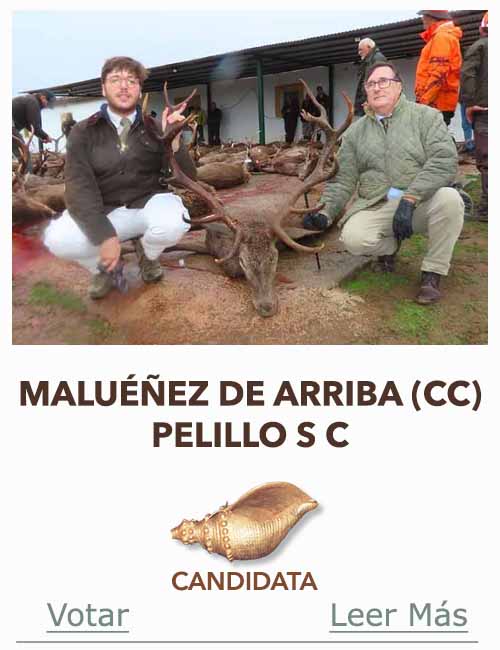 Candidatas 2025 2026 AB Campete