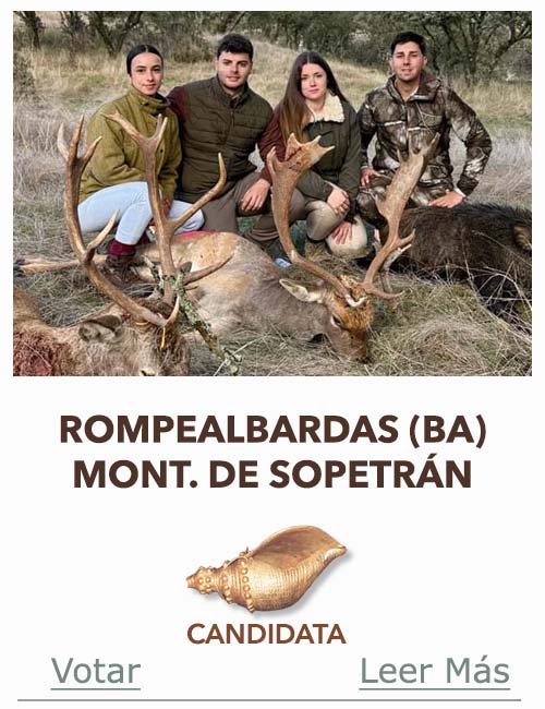 Candidatas 2025 2026 AB ROMPEALBARDAS