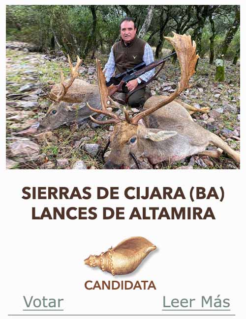 Candidatas 2025 2026 AB Campete