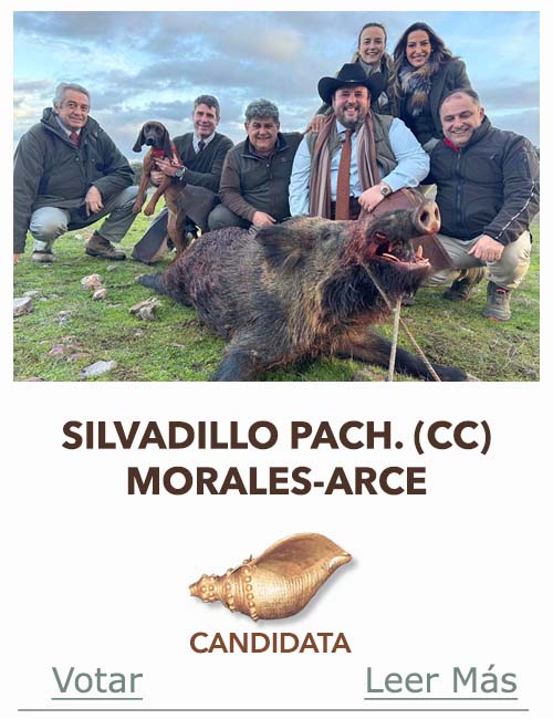 Candidatas 2025 2026 AB Campete