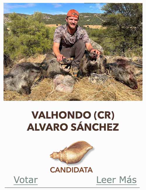 Candidatas 2025 2026 AB Campete