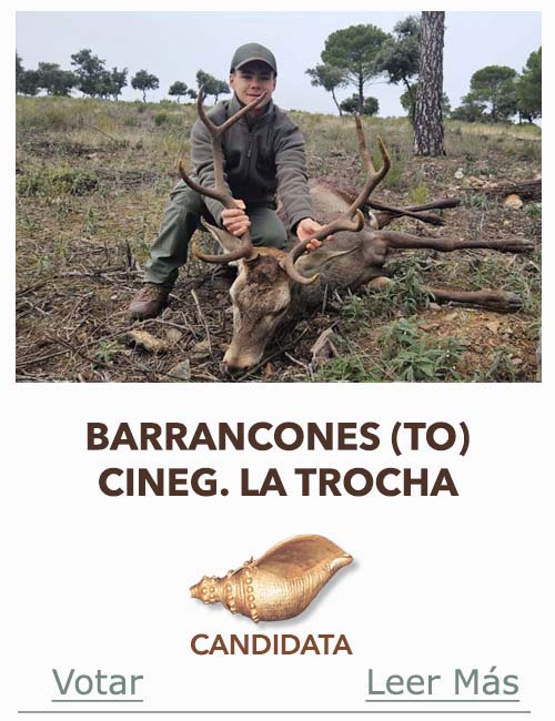 Candidatas 2025 2026 AB Campete