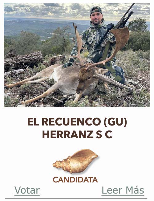 Candidatas 2025 2026 AB Campete