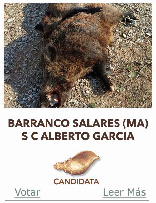 Candidatas 2025 2026 AB Campete