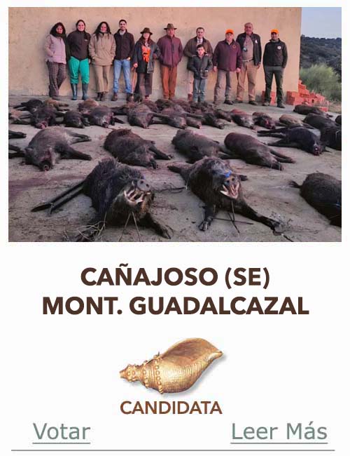 Candidatas 2025 2026 AB Campete