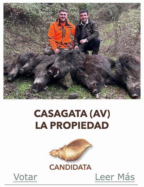 Candidatas 2025 2026 AB Campete