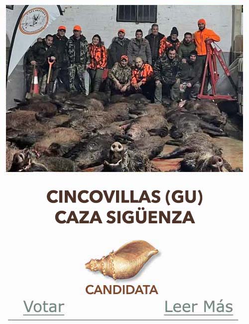 Candidatas 2025 2026 AB Campete