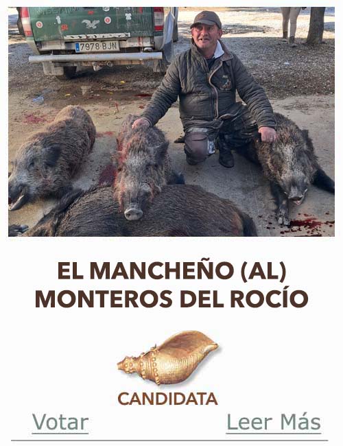 Candidatas 2025 2026 AB Campete