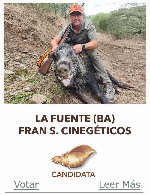 Candidatas 2025 2026 AB Campete