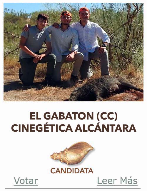 Candidatas 2025 2026 JB  AB VALHONDO