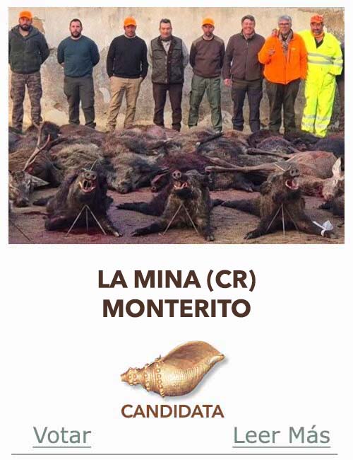 Candidatas 2025 2026 AB Campete