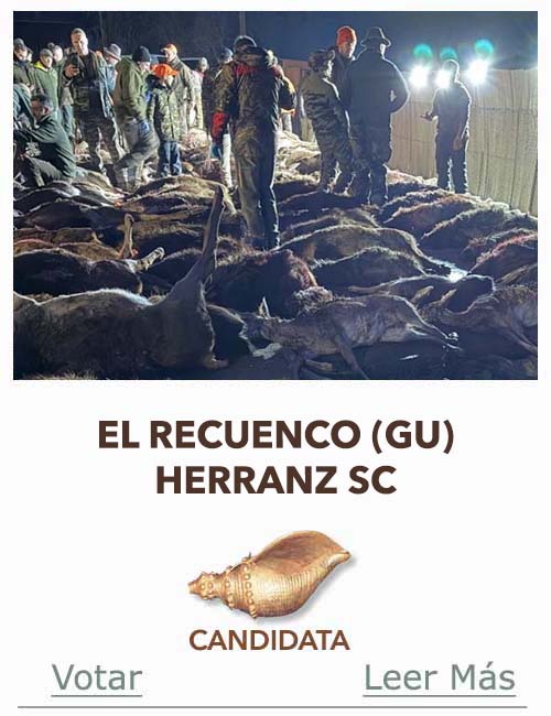 Candidatas 2025 2026 AB Campete