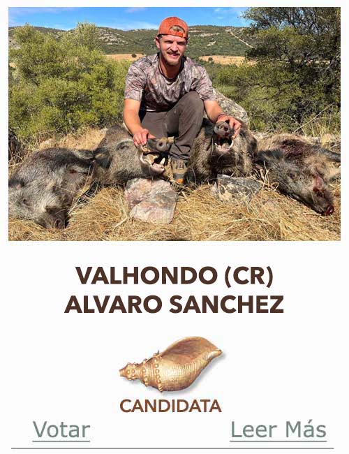 Candidatas 2025 2026 JB  AB VALHONDO