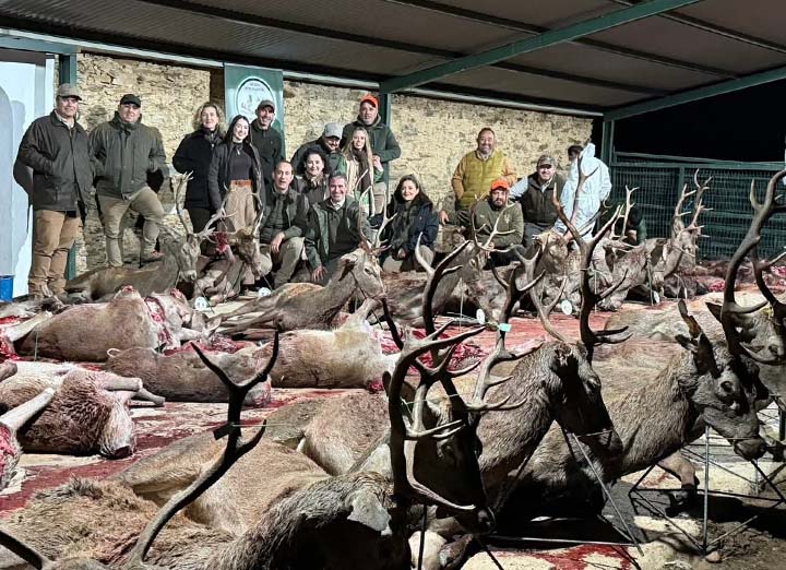 Bordalo Estellez 2025 01