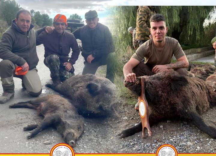 Bordalo Estellez 2025 01