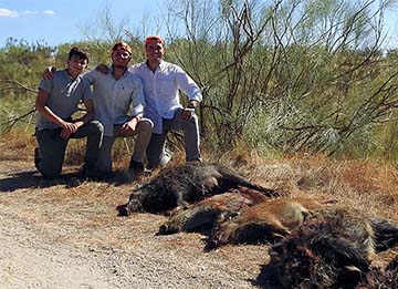 Chaqueta Caza Blaser