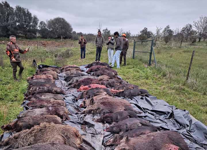 Herdade da Rusga 2026 ManchaSul