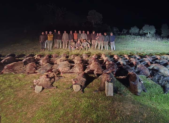 Chaqueta Caza Blaser