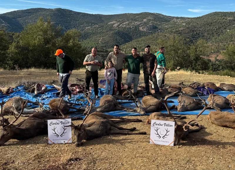 Chaqueta Caza Blaser